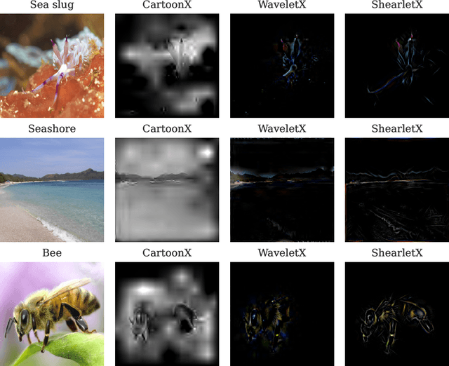 Figure 3 for Explaining Image Classifiers with Multiscale Directional Image Representation