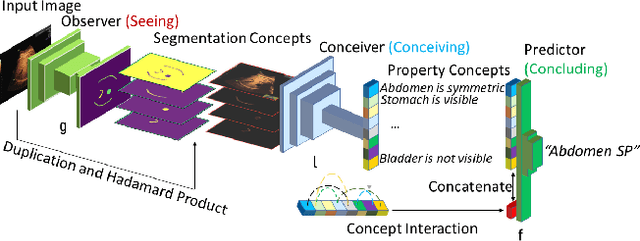 Figure 3 for I saw, I conceived, I concluded: Progressive Concepts as Bottlenecks