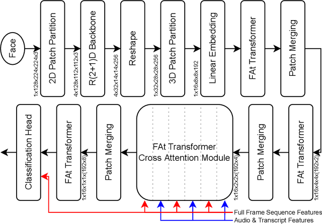Figure 1 for Multimodal Vision Transformers with Forced Attention for Behavior Analysis