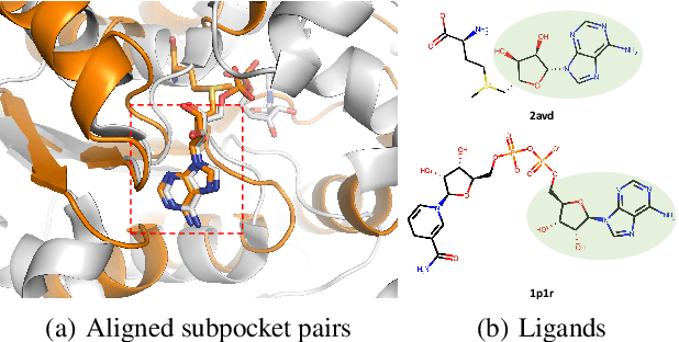Figure 1 for Learning Subpocket Prototypes for Generalizable Structure-based Drug Design