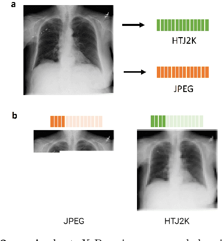 Figure 3 for One Copy Is All You Need: Resource-Efficient Streaming of Medical Imaging Data at Scale