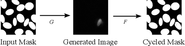 Figure 3 for Focus on Content not Noise: Improving Image Generation for Nuclei Segmentation by Suppressing Steganography in CycleGAN