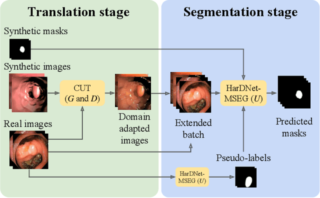 Figure 1 for Self-Supervised and Semi-Supervised Polyp Segmentation using Synthetic Data