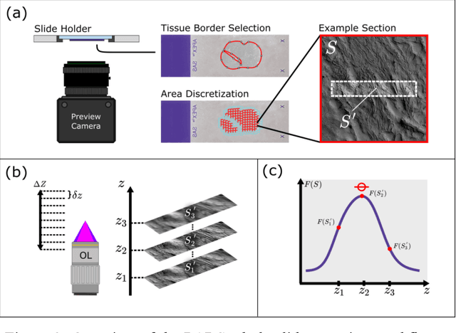 Figure 2 for Automated Whole Slide Imaging for Label-Free Histology using Photon Absorption Remote Sensing Microscopy