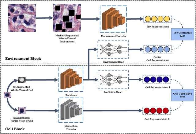 Figure 1 for VOLTA: an Environment-Aware Contrastive Cell Representation Learning for Histopathology