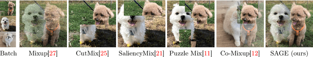 Figure 1 for SAGE: Saliency-Guided Mixup with Optimal Rearrangements