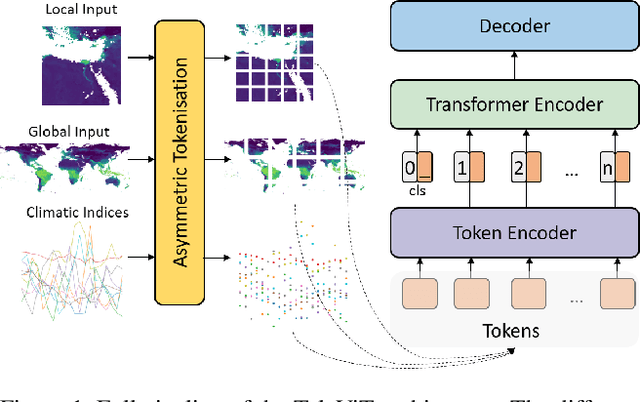 Figure 1 for TeleViT: Teleconnection-driven Transformers Improve Subseasonal to Seasonal Wildfire Forecasting