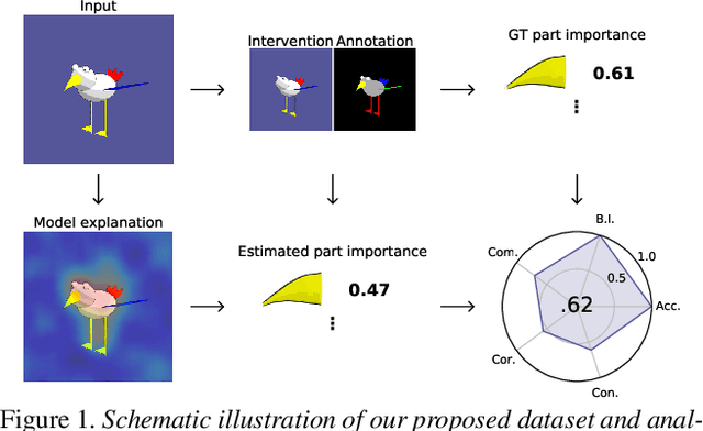 Figure 1 for FunnyBirds: A Synthetic Vision Dataset for a Part-Based Analysis of Explainable AI Methods