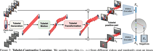 Figure 3 for Tubelet-Contrastive Self-Supervision for Video-Efficient Generalization