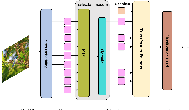 Figure 3 for Predicting Token Impact Towards Efficient Vision Transformer
