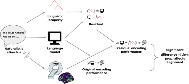 Figure 1 for Joint processing of linguistic properties in brains and language models