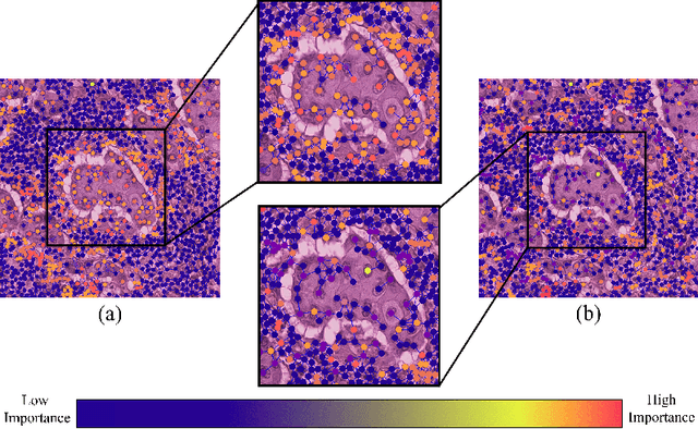 Figure 1 for KS-GNNExplainer: Global Model Interpretation Through Instance Explanations On Histopathology images