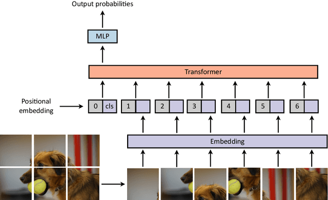 Figure 4 for Machine Learning for Brain Disorders: Transformers and Visual Transformers
