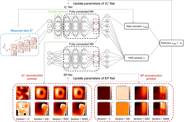 Figure 1 for PIFON-EPT: MR-Based Electrical Property Tomography Using Physics-Informed Fourier Networks