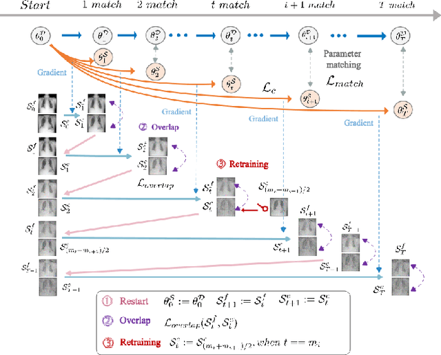 Figure 3 for Progressive trajectory matching for medical dataset distillation