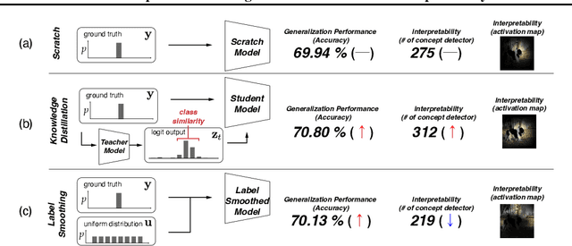 Figure 1 for On the Impact of Knowledge Distillation for Model Interpretability