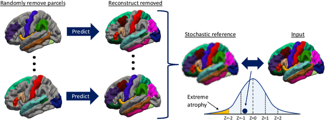 Figure 1 for Stochastic Cortical Self-Reconstruction