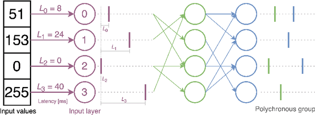 Figure 3 for Local learning through propagation delays in spiking neural networks