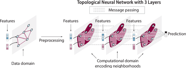 Figure 1 for Architectures of Topological Deep Learning: A Survey on Topological Neural Networks