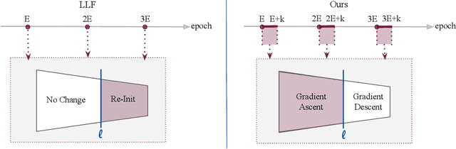 Figure 1 for Simulated Annealing in Early Layers Leads to Better Generalization