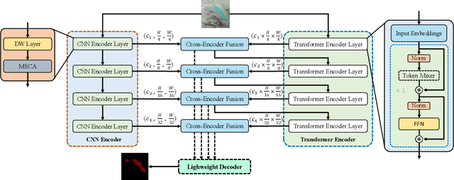Figure 1 for LEFormer: A Hybrid CNN-Transformer Architecture for Accurate Lake Extraction from Remote Sensing Imagery