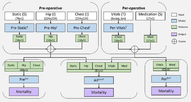 Figure 2 for Feature importance to explain multimodal prediction models. A clinical use case