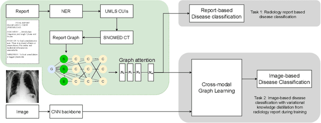 Figure 1 for Knowledge Graph Embeddings for Multi-Lingual Structured Representations of Radiology Reports