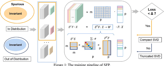 Figure 1 for Exploring Optimal Substructure for Out-of-distribution Generalization via Feature-targeted Model Pruning