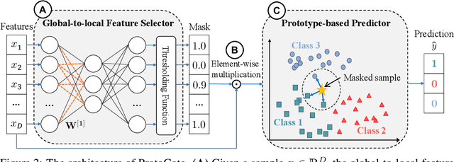 Figure 3 for ProtoGate: Prototype-based Neural Networks with Local Feature Selection for Tabular Biomedical Data