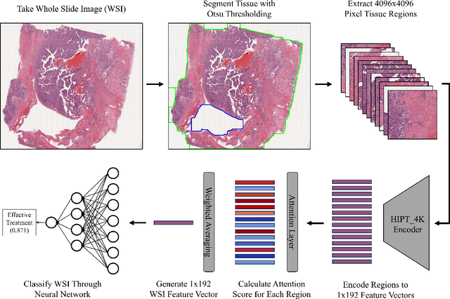 Figure 3 for Predicting Ovarian Cancer Treatment Response in Histopathology using Hierarchical Vision Transformers and Multiple Instance Learning