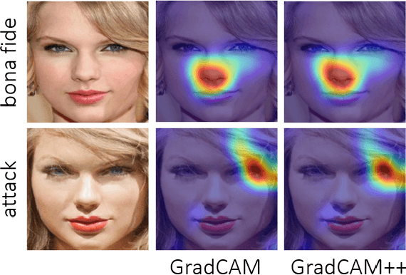 Figure 1 for Are Explainability Tools Gender Biased? A Case Study on Face Presentation Attack Detection