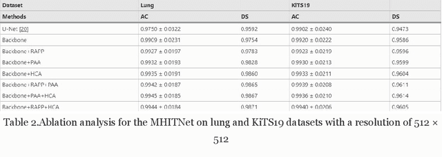 Figure 4 for MHITNet: a minimize network with a hierarchical context-attentional filter for segmenting medical ct images