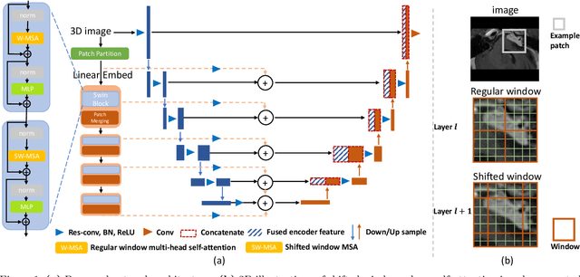 Figure 1 for CATS v2: Hybrid encoders for robust medical segmentation