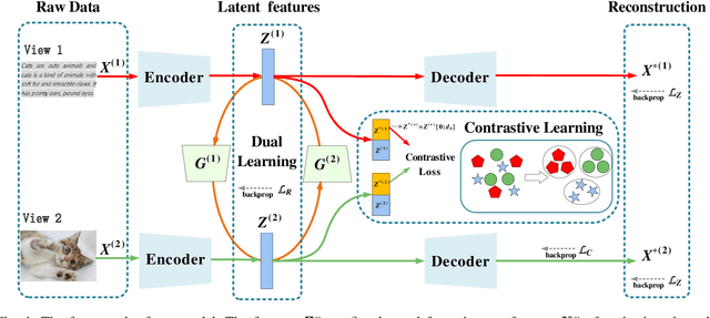 Figure 1 for Preventing Dimensional Collapse of Incomplete Multi-View Clustering via Direct Contrastive Learning