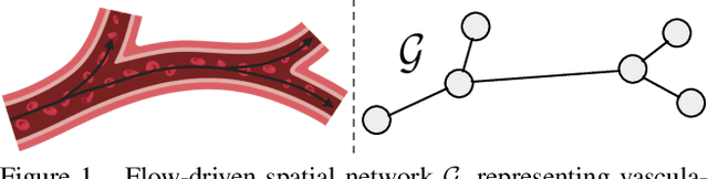 Figure 1 for Link Prediction for Flow-Driven Spatial Networks