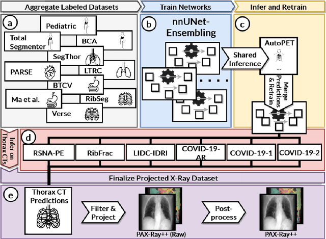 Figure 1 for Accurate Fine-Grained Segmentation of Human Anatomy in Radiographs via Volumetric Pseudo-Labeling