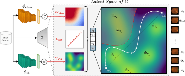 Figure 1 for A Privacy-Preserving Walk in the Latent Space of Generative Models for Medical Applications