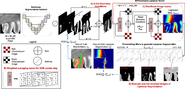Figure 1 for Improved Segmentation of Deep Sulci in Cortical Gray Matter Using a Deep Learning Framework Incorporating Laplace's Equation