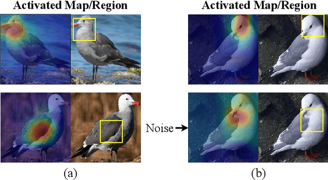 Figure 1 for Is ProtoPNet Really Explainable? Evaluating and Improving the Interpretability of Prototypes
