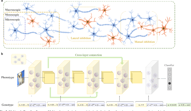 Figure 2 for Multi-scale Evolutionary Neural Architecture Search for Deep Spiking Neural Networks