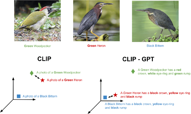 Figure 1 for Enhancing CLIP with GPT-4: Harnessing Visual Descriptions as Prompts