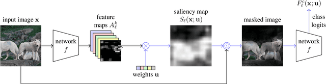 Figure 1 for Opti-CAM: Optimizing saliency maps for interpretability
