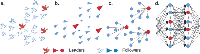 Figure 1 for Leader-Follower Neural Networks with Local Error Signals Inspired by Complex Collectives