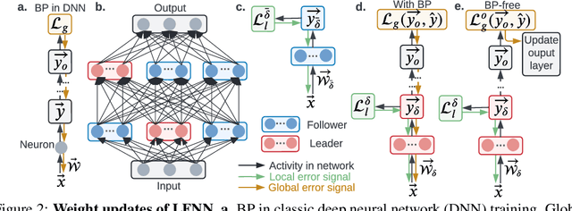Figure 3 for Leader-Follower Neural Networks with Local Error Signals Inspired by Complex Collectives