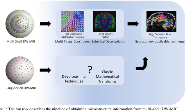 Figure 2 for Deep Learning Estimation of Multi-Tissue Constrained Spherical Deconvolution with Limited Single Shell DW-MRI