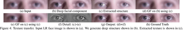 Figure 4 for Learning to Hallucinate Face Images via Component Generation and Enhancement