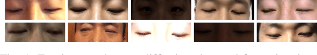 Figure 1 for Efficient Eye Typing with 9-direction Gaze Estimation