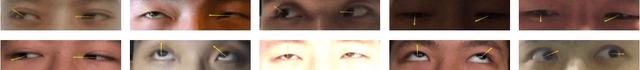 Figure 3 for Efficient Eye Typing with 9-direction Gaze Estimation