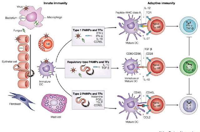 Figure 3 for Towards a Conceptual Framework for Innate Immunity