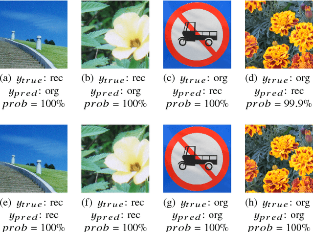 Figure 3 for Security Consideration For Deep Learning-Based Image Forensics